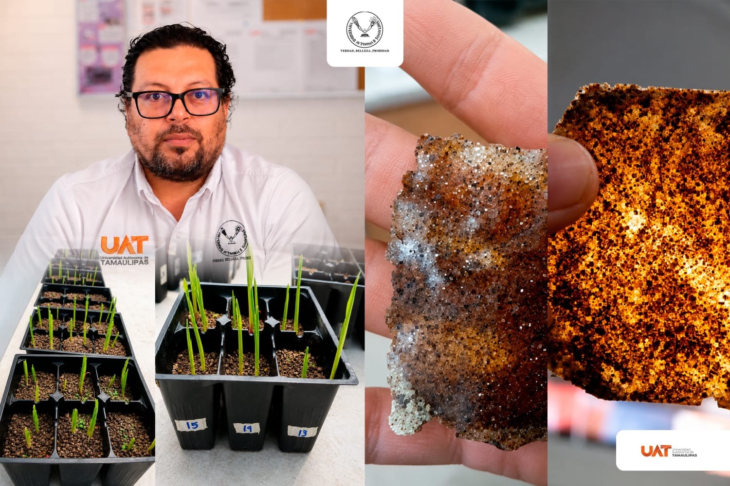 Bioplástico creado por la UAT ayudará a recuperar suelos erosionados